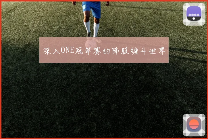 深入ONE冠军赛的降服缠斗世界