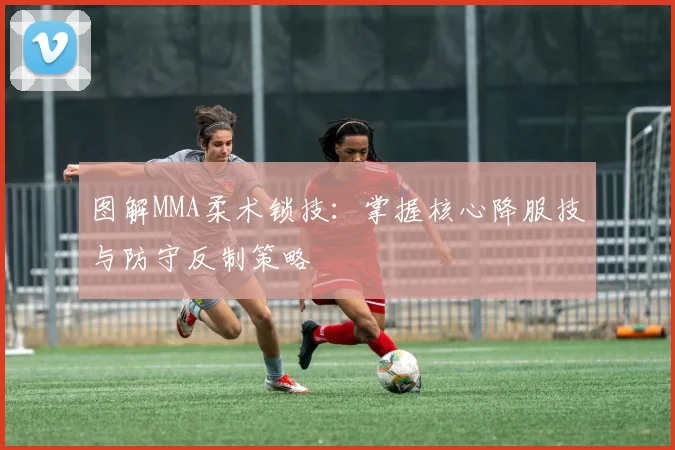 图解MMA柔术锁技：掌握核心降服技与防守反制策略