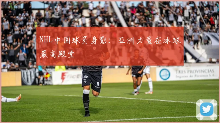 NHL中国球员身影：亚洲力量在冰球最高殿堂