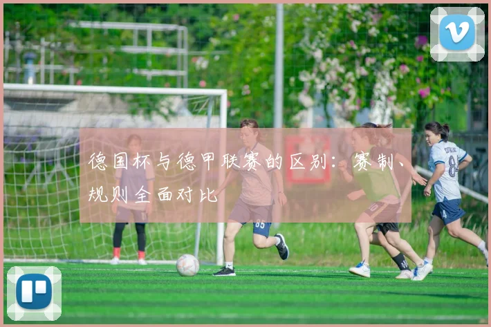 德国杯与德甲联赛的区别：赛制、规则全面对比
