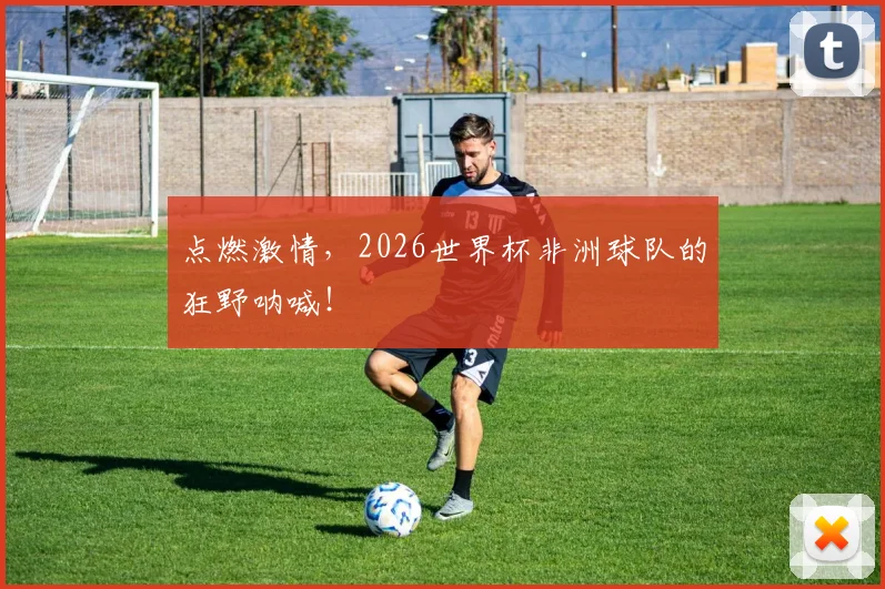 点燃激情，2026世界杯非洲球队的狂野呐喊！