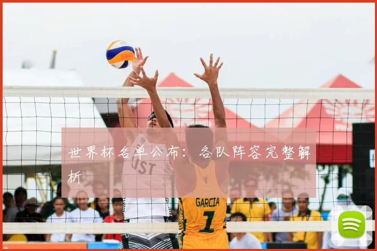 世界杯名单公布：各队阵容完整解析