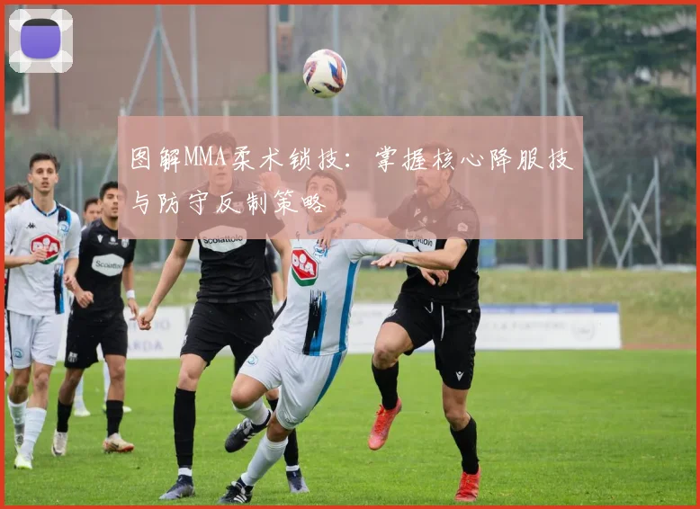 图解MMA柔术锁技：掌握核心降服技与防守反制策略